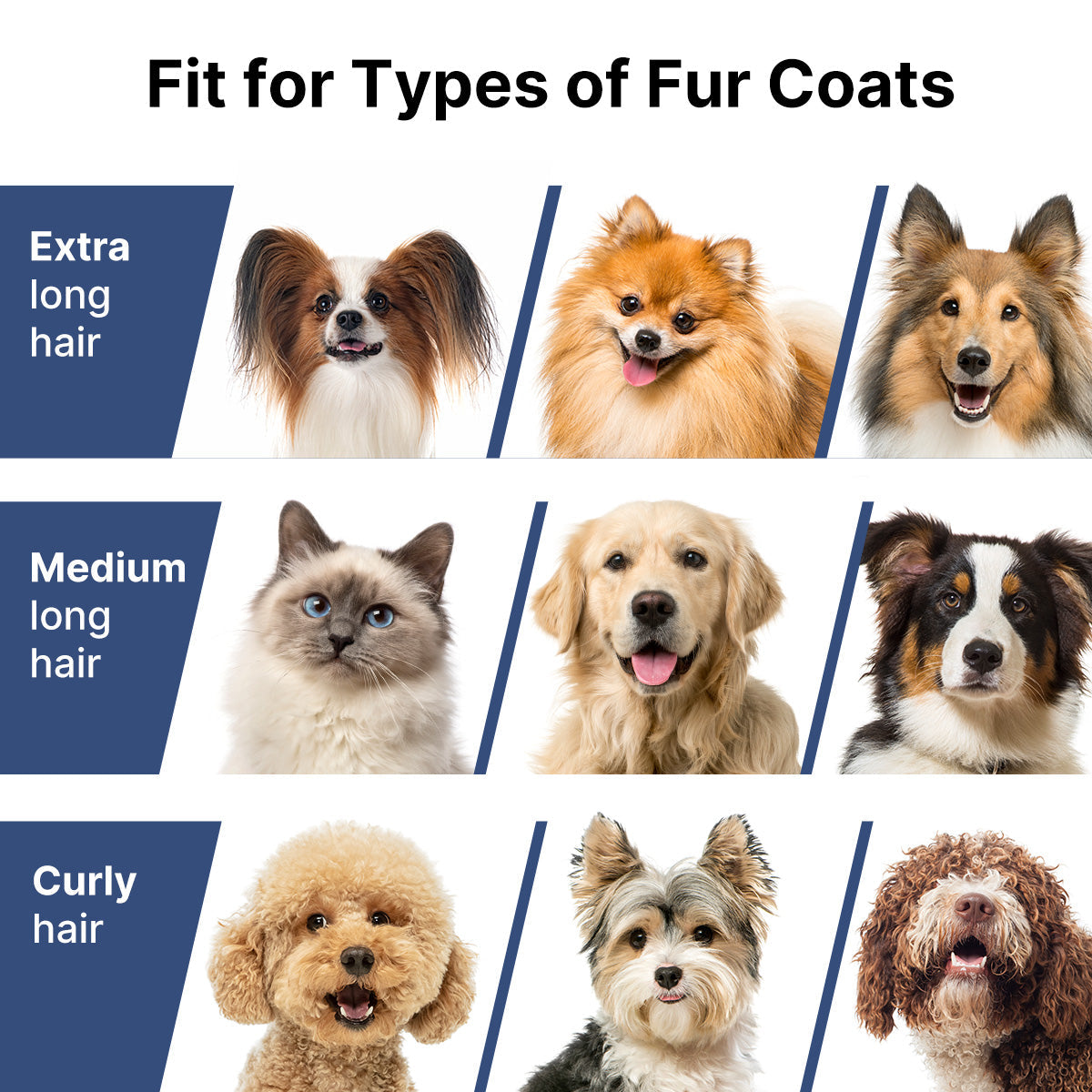 Neakasa P2 Pro 5-in-1 Dog Cat Grooming Kit with Vacuum