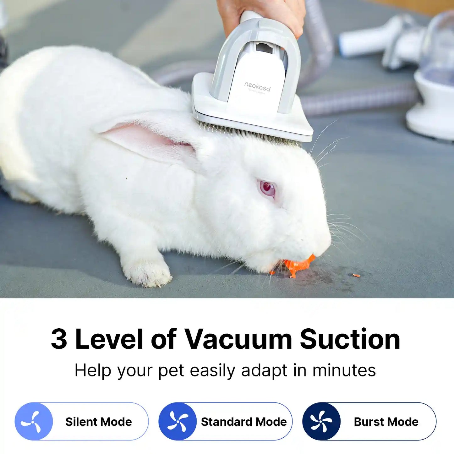 Neakasa P1 Rabbit Grooming Vacuum Kit
