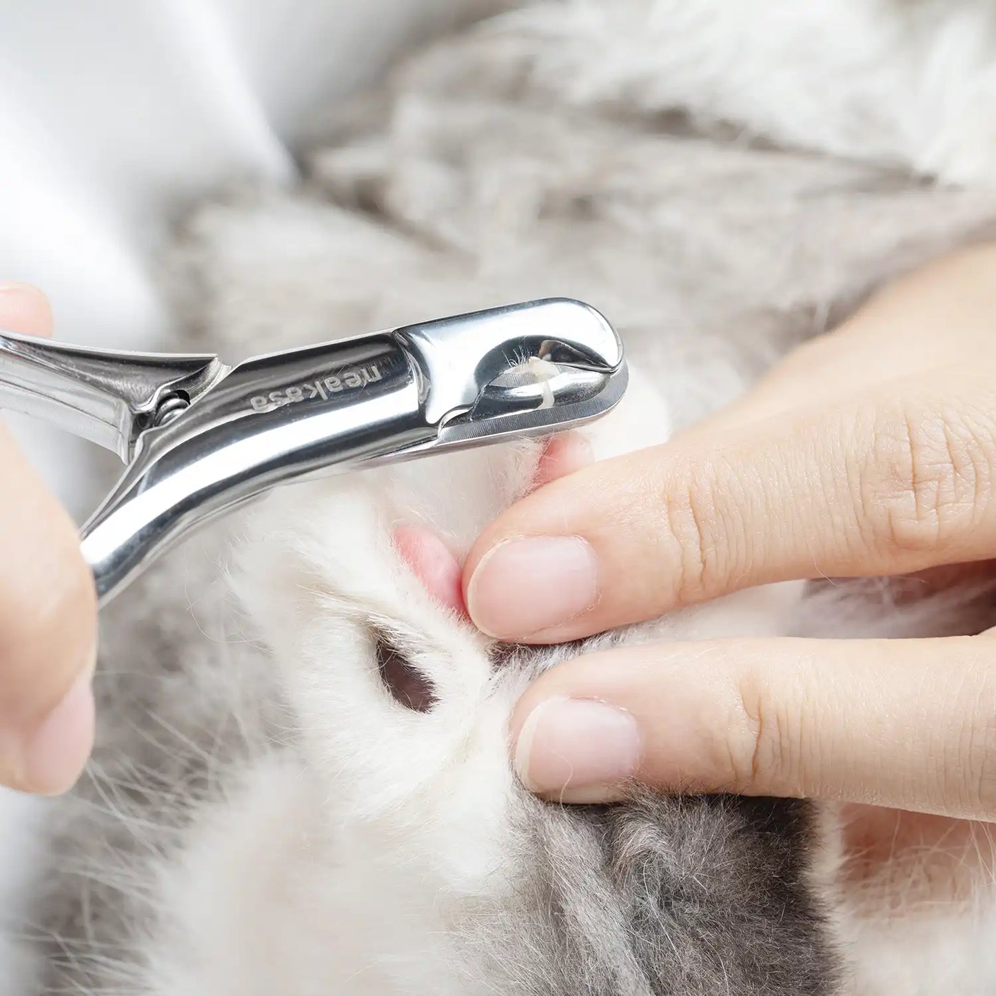 Neakasa Steel Pet Nail Clipper for Cats and Dogs